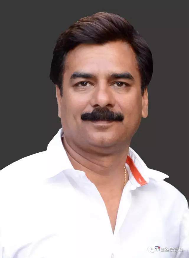 印度盆景——异域风情与盆景艺术的碰撞