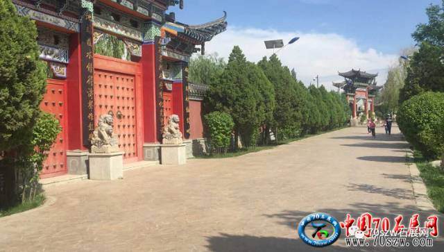 7月28日 西宁政府会精品盆景展