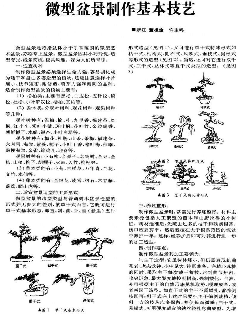 图解 微型盆景制作的基本设计技艺