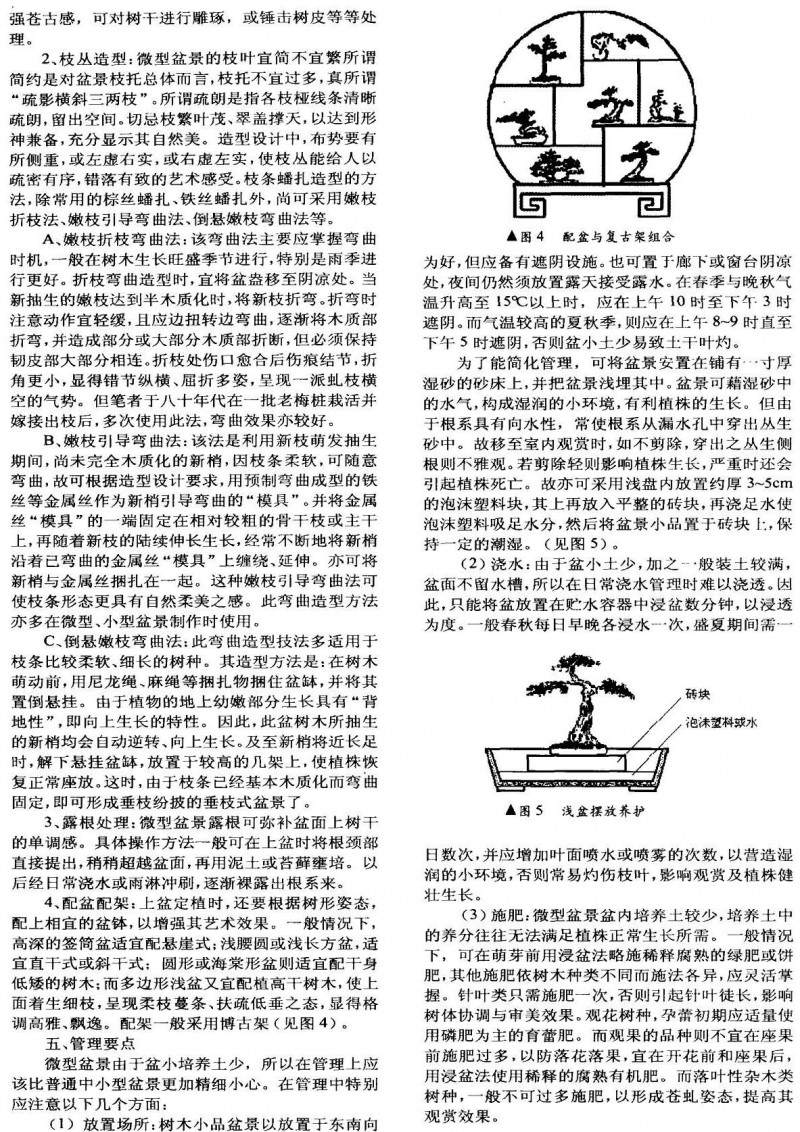 图解 微型盆景制作的基本设计技艺