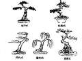 图解 微型盆景制作的基本设计技艺