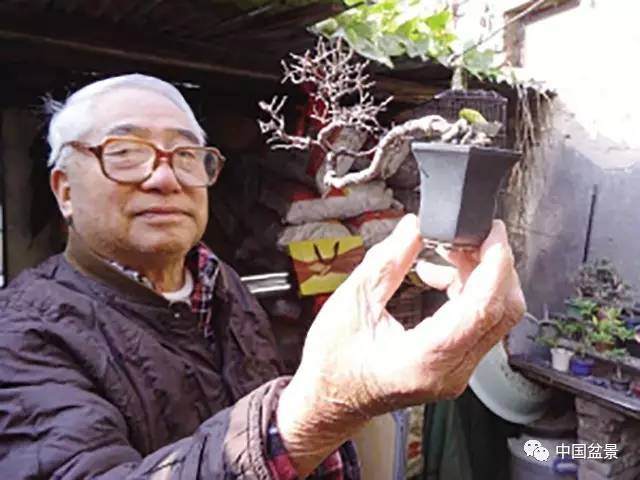 宫树鼎老人和他衷爱的微型盆景