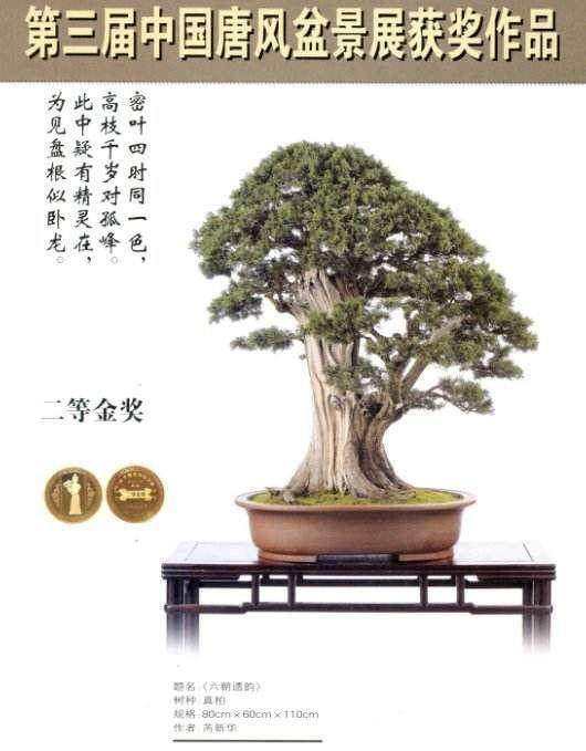 潜江曹禺文化周举办盆景展