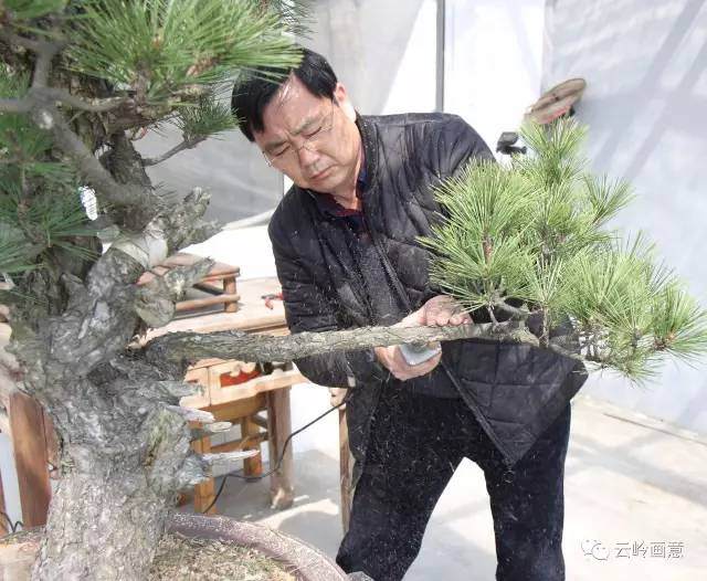 &ldquo;2017年云南盆景培训班&rdquo;  1000元/人含食宿