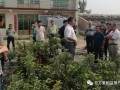 易县狼牙山镇领导到保定艳永果树盆景公司参观考察