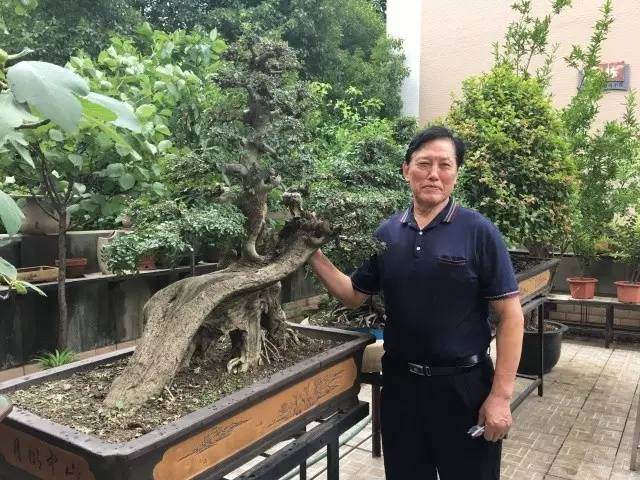 私家盆景打造社区花园-你所不知道的独特景观