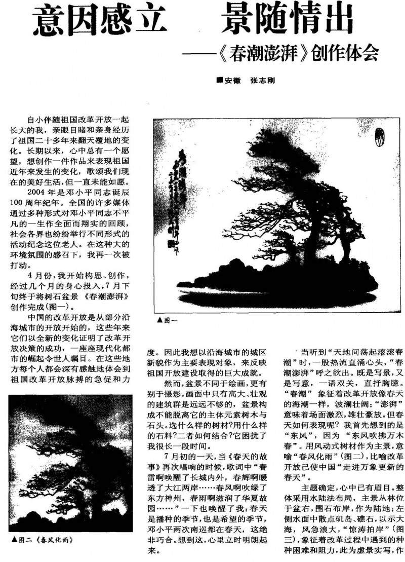 盆景作品制作体会