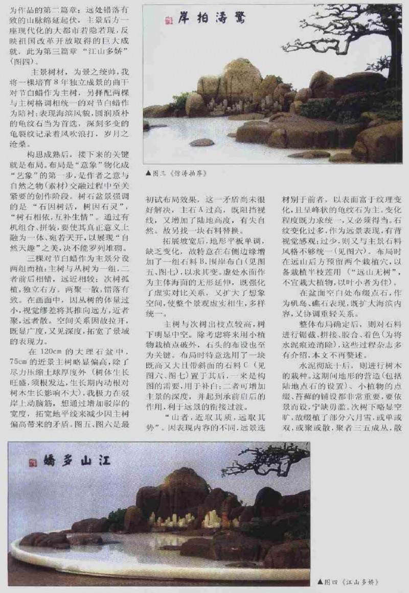 盆景作品制作体会