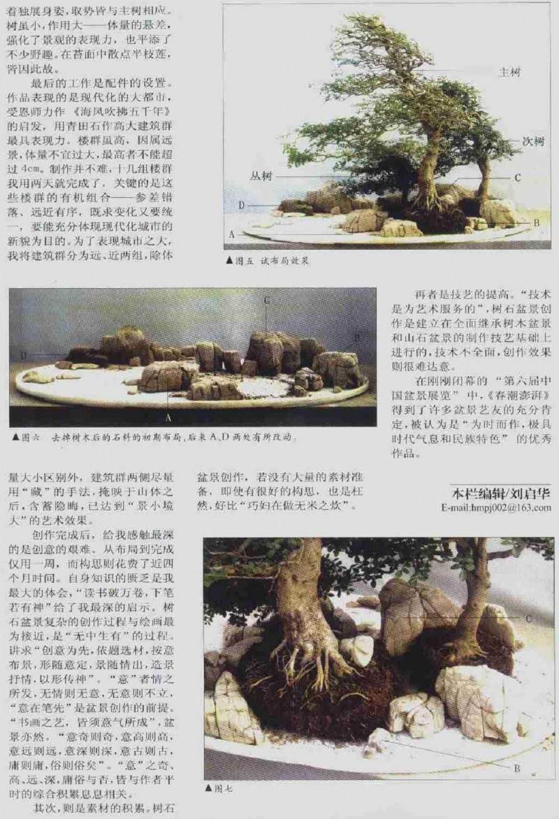 盆景作品制作体会