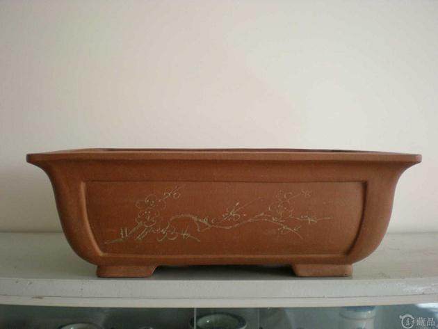 安庆市第二届盆景展览作品选