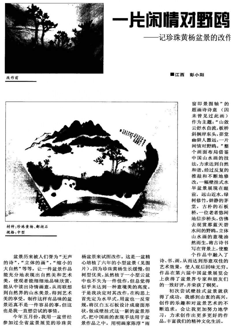 一片闲情对野鸥——记珍珠黄杨盆景的制作【图】
