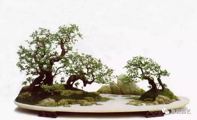 山水盆景的构思与制作