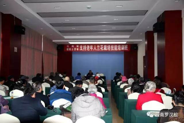 云南省老干部花卉盆景协会，茶花栽培技能培训