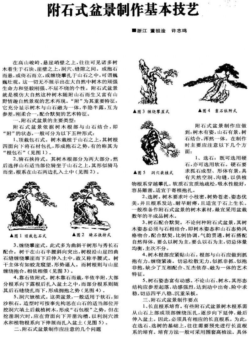 附石式盆景制作基本技艺