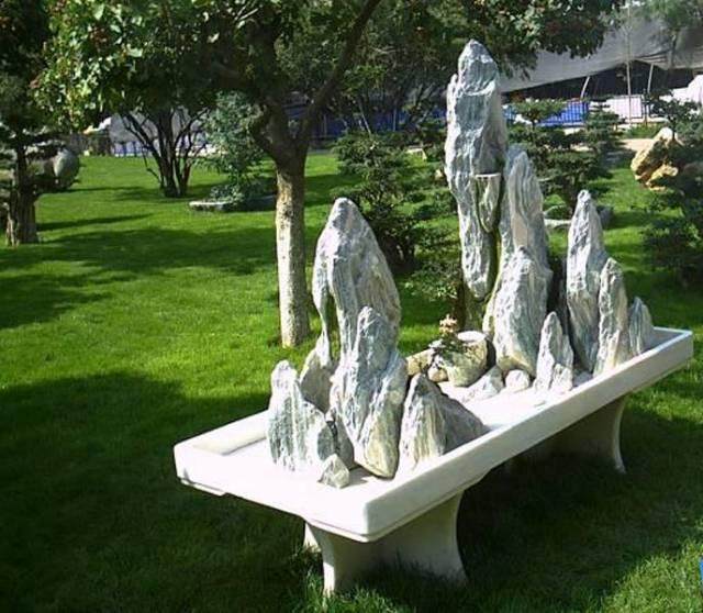 书画作品展暨文艺演出在兰州盆景园举办