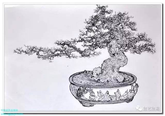 树桩设计构图的意义何在？