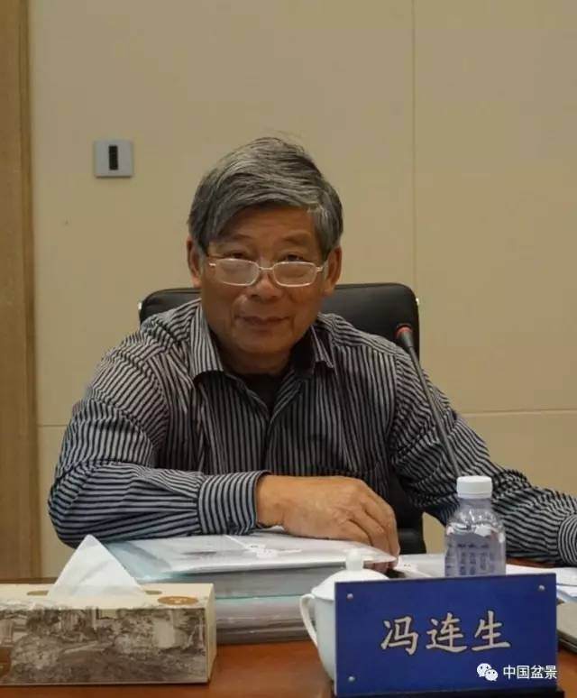 冯连生谈树石盆景怎么制作的4个方法