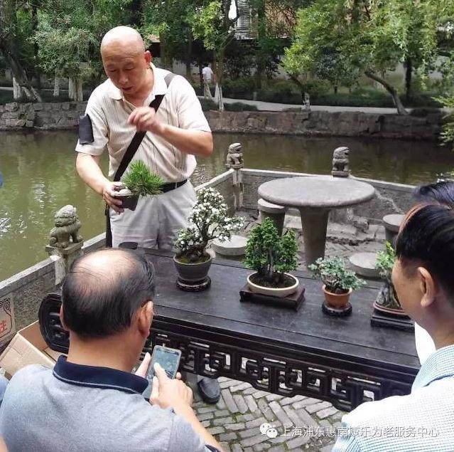 上海康乐书画盆景艺术汇