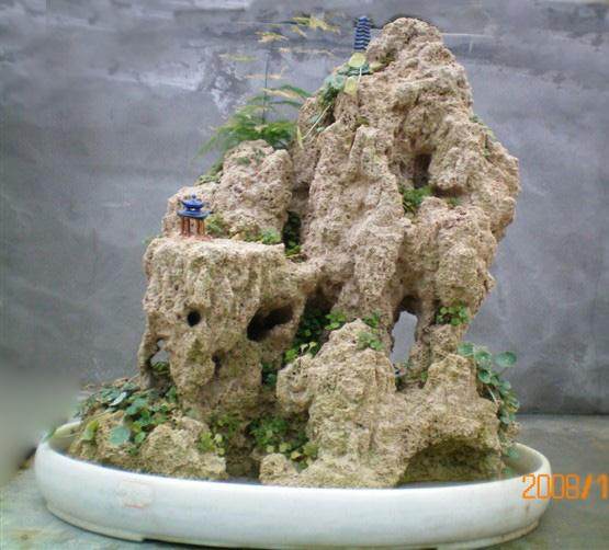 青岛市第九届中华奇石根艺盆景艺术博览会