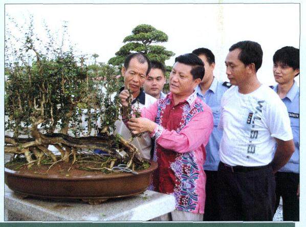 艺海启航——刘传刚盆景艺术轨迹