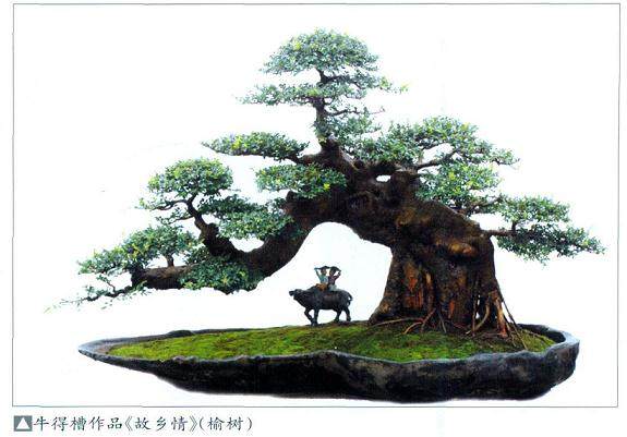 在盆景作品中,有不少是用牧童的形象来引申意境的