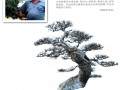 芜湖盆景艺术家何昌东 图片