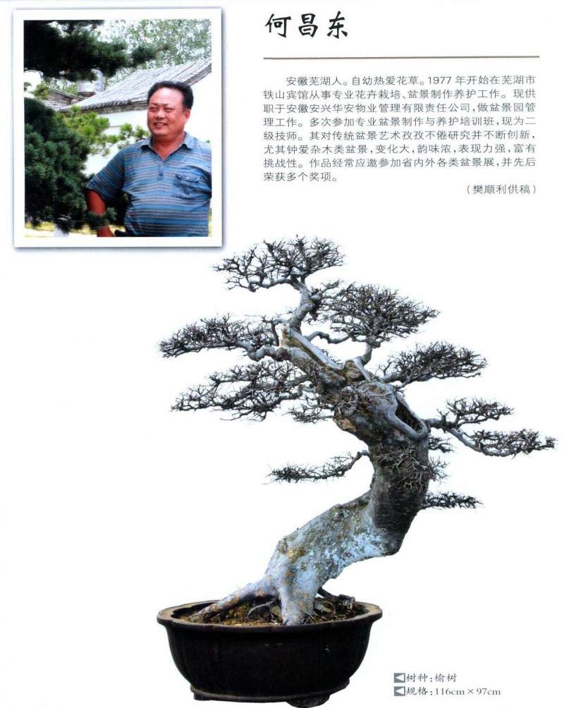 芜湖盆景艺术家--何昌东【图】
