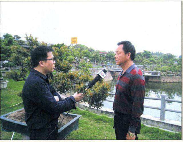 2012年第11期 东莞盆景学术交流会议