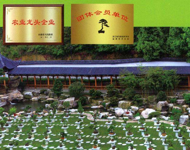 浙江三棵松盆景园艺有限公司