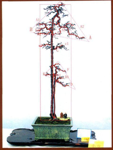 如何赏析萧庚武的金奖盆景?