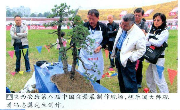 第八届中国盆景展制作现场