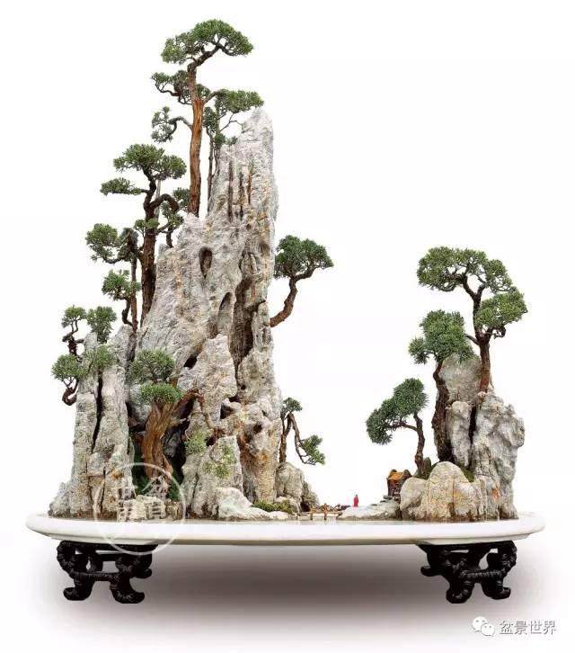 云南盆景赏石协会第四届理事会