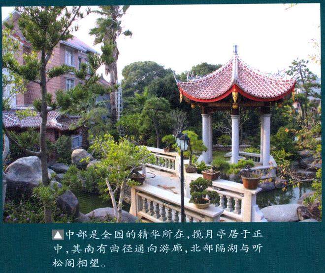 访莆田听松盆景园