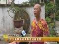 莆田盆景渐入寻常百姓家