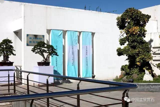 7月，京津冀地区盆景爱好者看过来