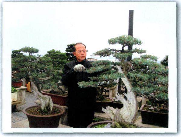 盆景艺术家-甘罗生