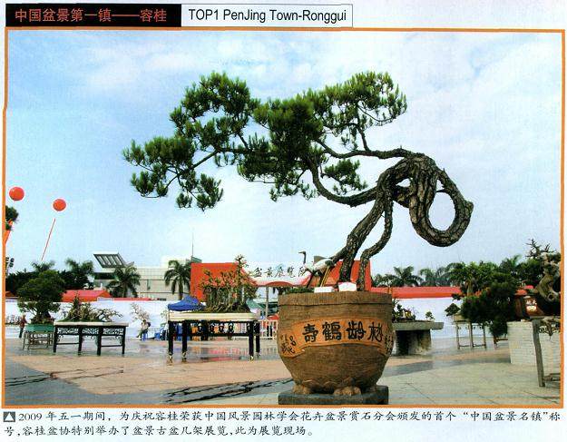 陈秋幽秘书长充分肯定了容桂盆景协会近年来所取得的成绩