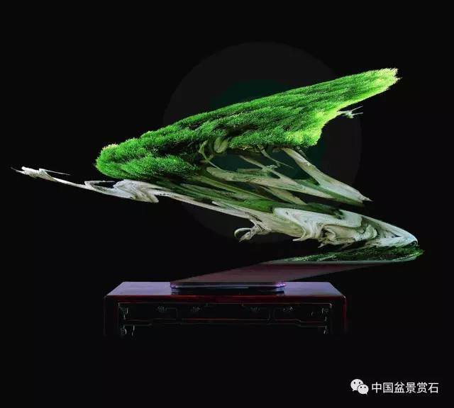 现代盆景的下一个猜想-超越写实