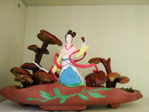 首届“泰山极地杯”灵芝盆景设计大赛圆满落幕