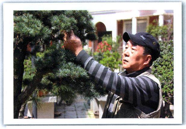 武汉盆景艺术家--陈圣