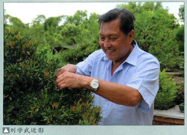 记中国盆景高级技师刘学武