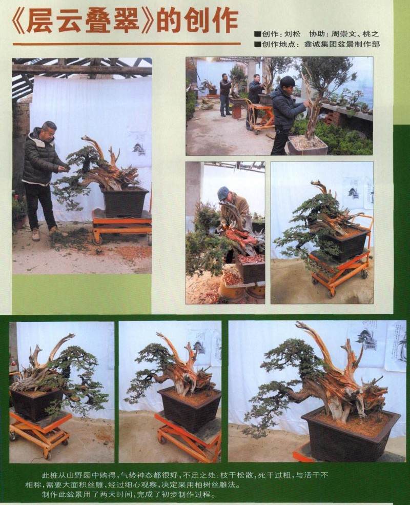 层云叠翠盆景的制作