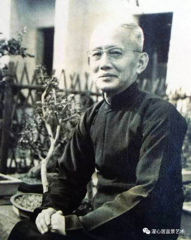 叶恩甫——岭南附石盆景的探索先驱