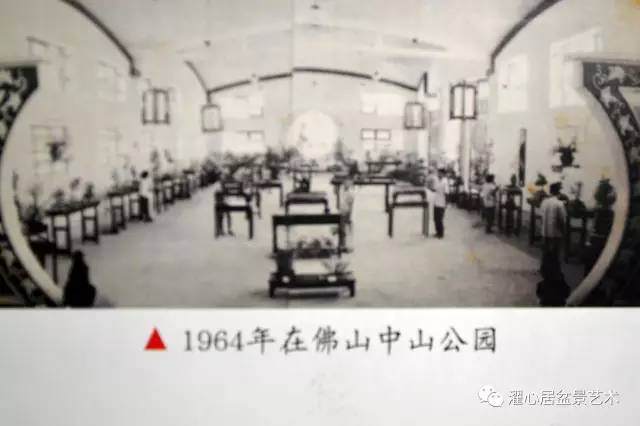 叶恩甫——岭南附石盆景的探索先驱