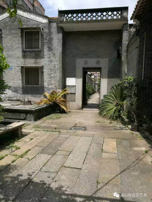 叶恩甫——岭南附石盆景的探索先驱