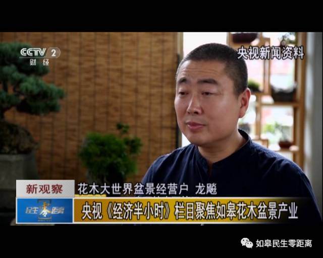央视《经济半小时》栏目聚焦如皋花木盆景产业