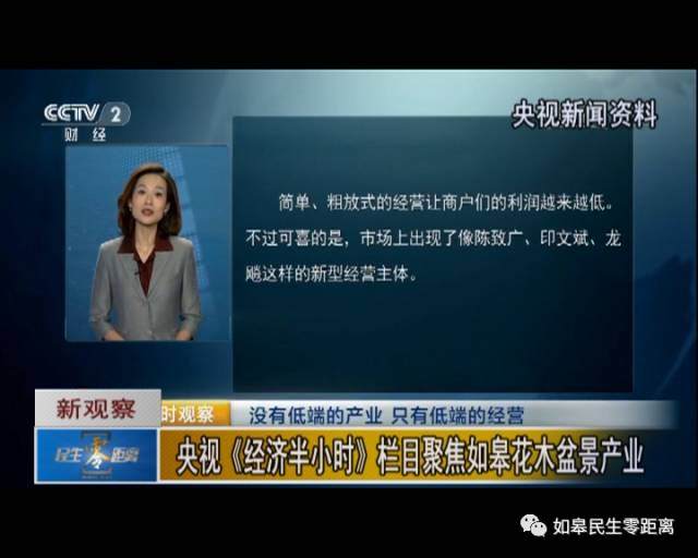 央视《经济半小时》栏目聚焦如皋花木盆景产业