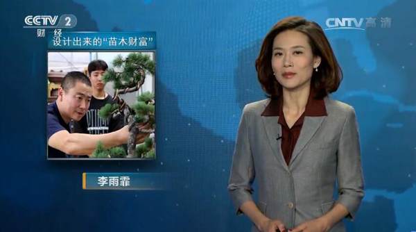 《经济半小时》报道如皋花木盆景产业
