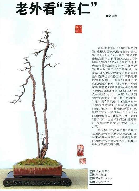 请欣赏具民族风格特征的“素仁格”盆景【图】