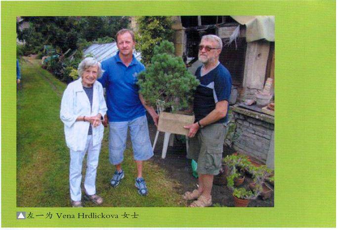 Vaclav女士是堪称将盆景文化传播欧洲的第一人